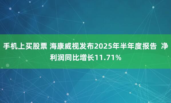 手机上买股票 海康威视发布2025年半年度报告  净利润同比增长11.71%