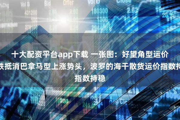 十大配资平台app下载 一张图：好望角型运价下跌抵消巴拿马型上涨势头，波罗的海干散货运价指数持稳