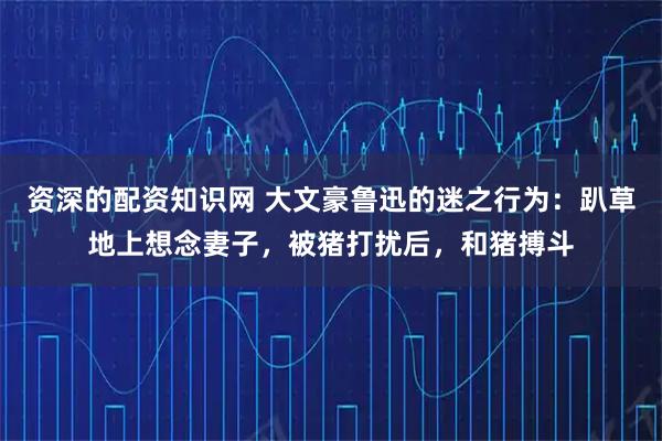 资深的配资知识网 大文豪鲁迅的迷之行为：趴草地上想念妻子，被猪打扰后，和猪搏斗