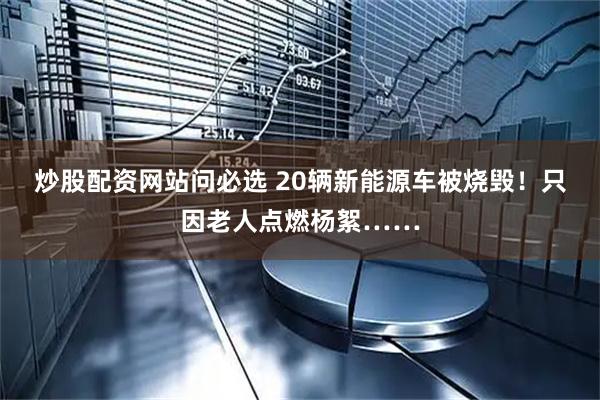 炒股配资网站问必选 20辆新能源车被烧毁!只因老人点燃杨絮……